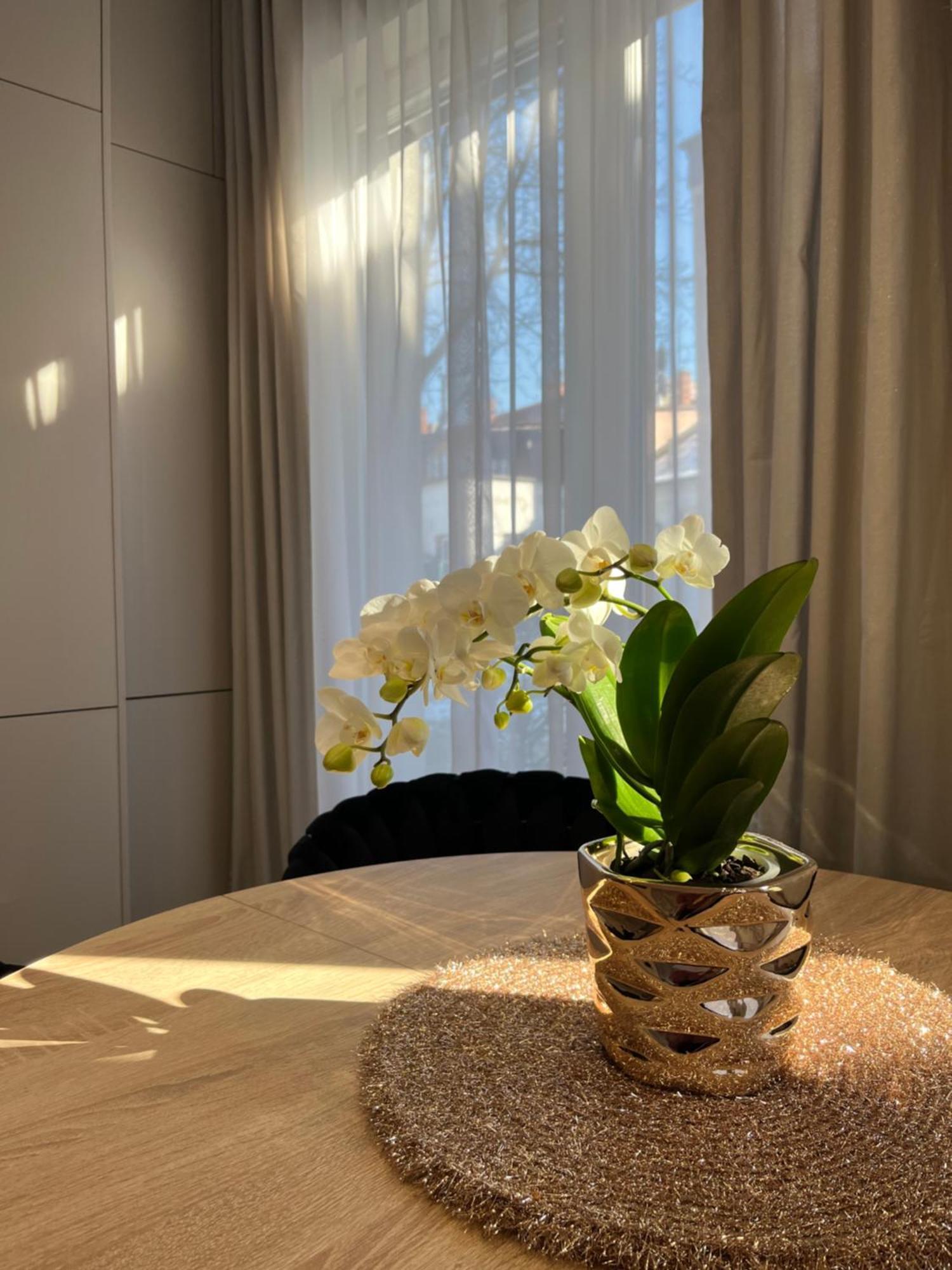 Apartament Kaszmirowy Bielsko-Biala Exterior photo